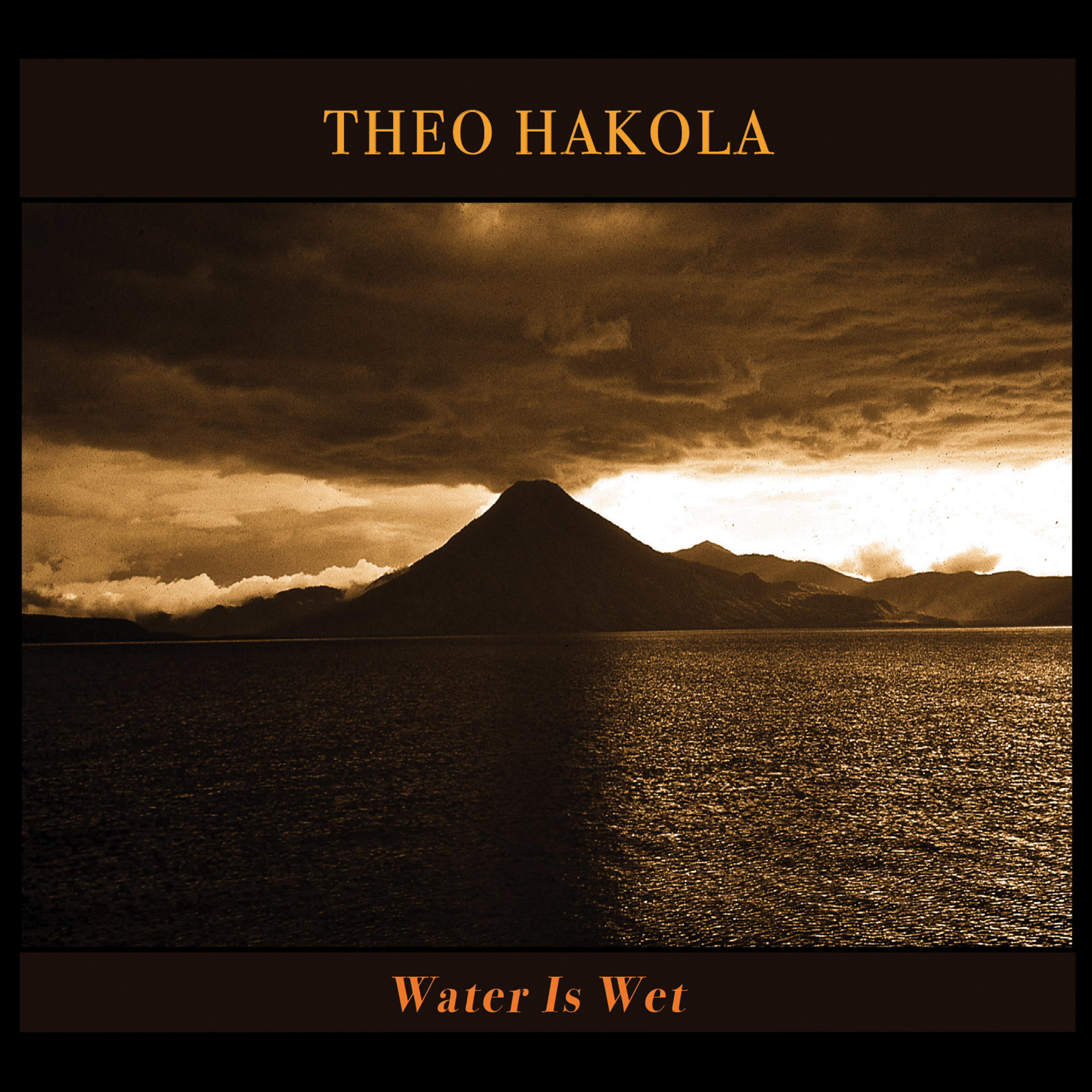theo hakola water is wet microcultures