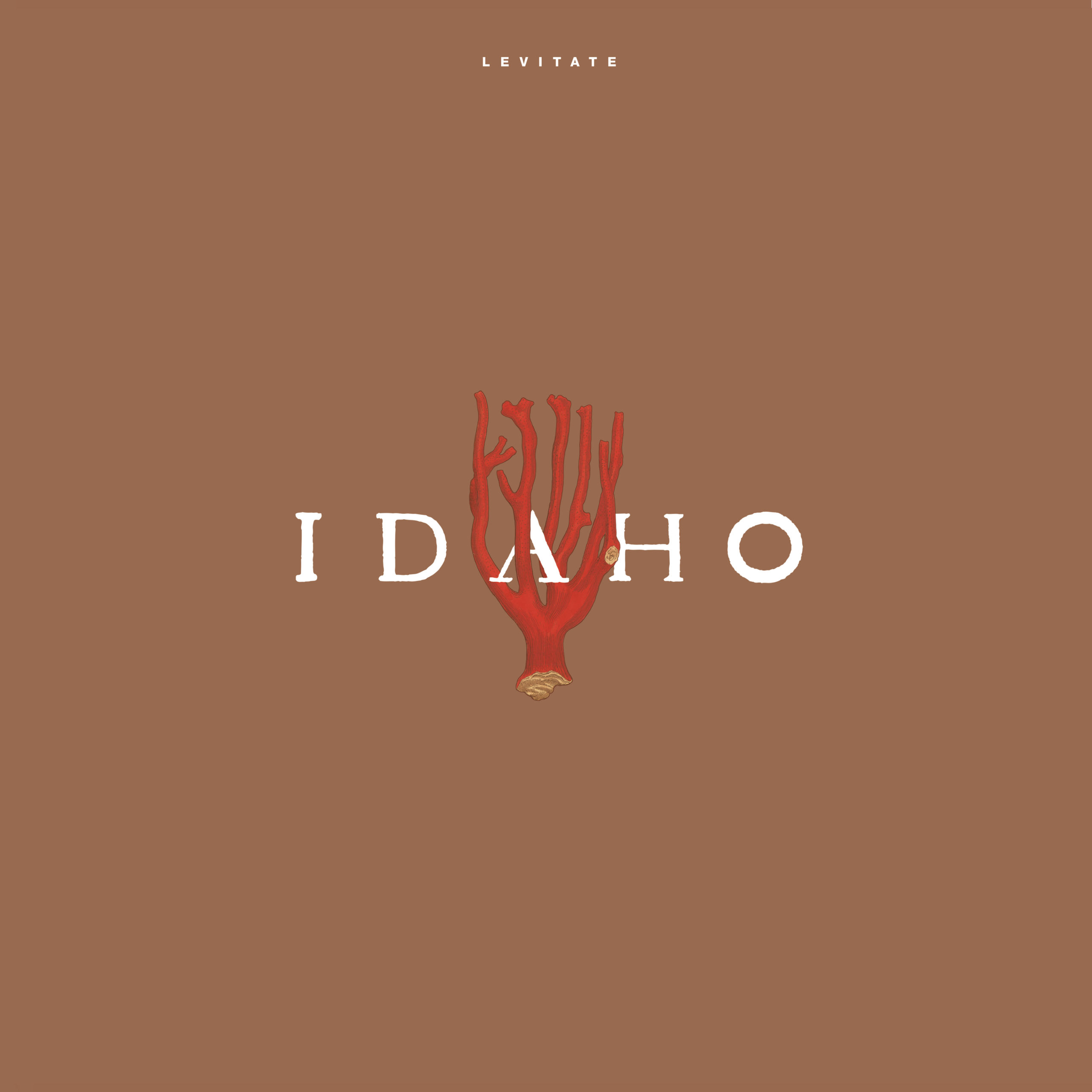 Idaho Levitate Talitres Idaho Levitate Talitres