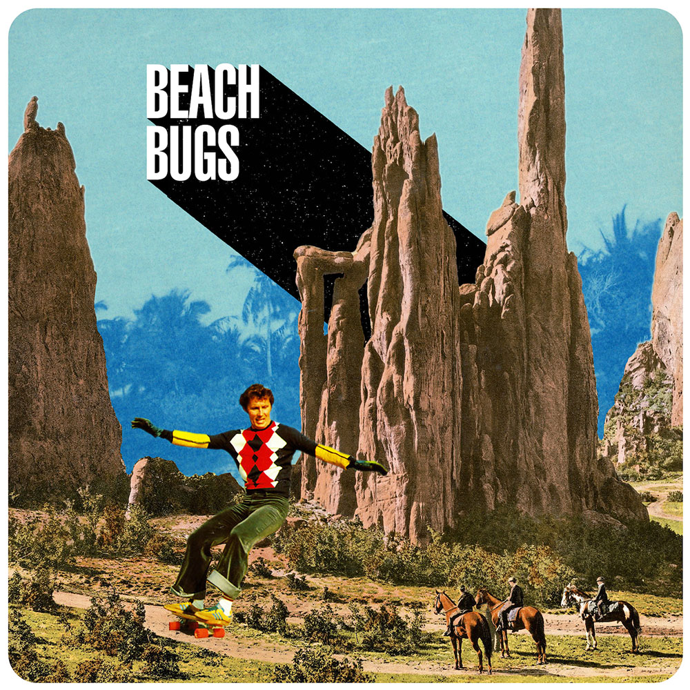 Beach bugs cover album