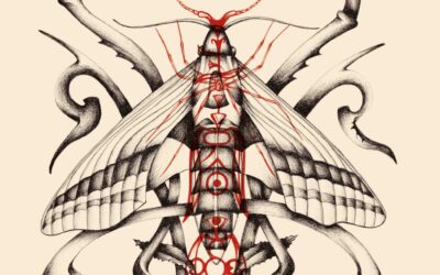 ODONATA X-1 • Gravitational Perturbation