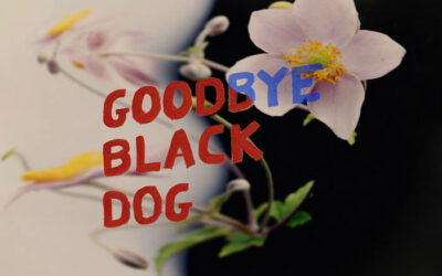 PURRS • Goodbye Black Dog