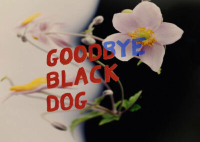 PURRS • Goodbye Black Dog