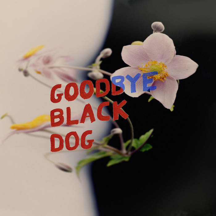 Purrs_goodbye_black_dog_album_cover_lagon_noir