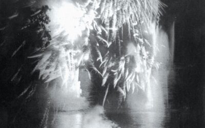 THEM FLYING MONKEYS • Best Behaviour