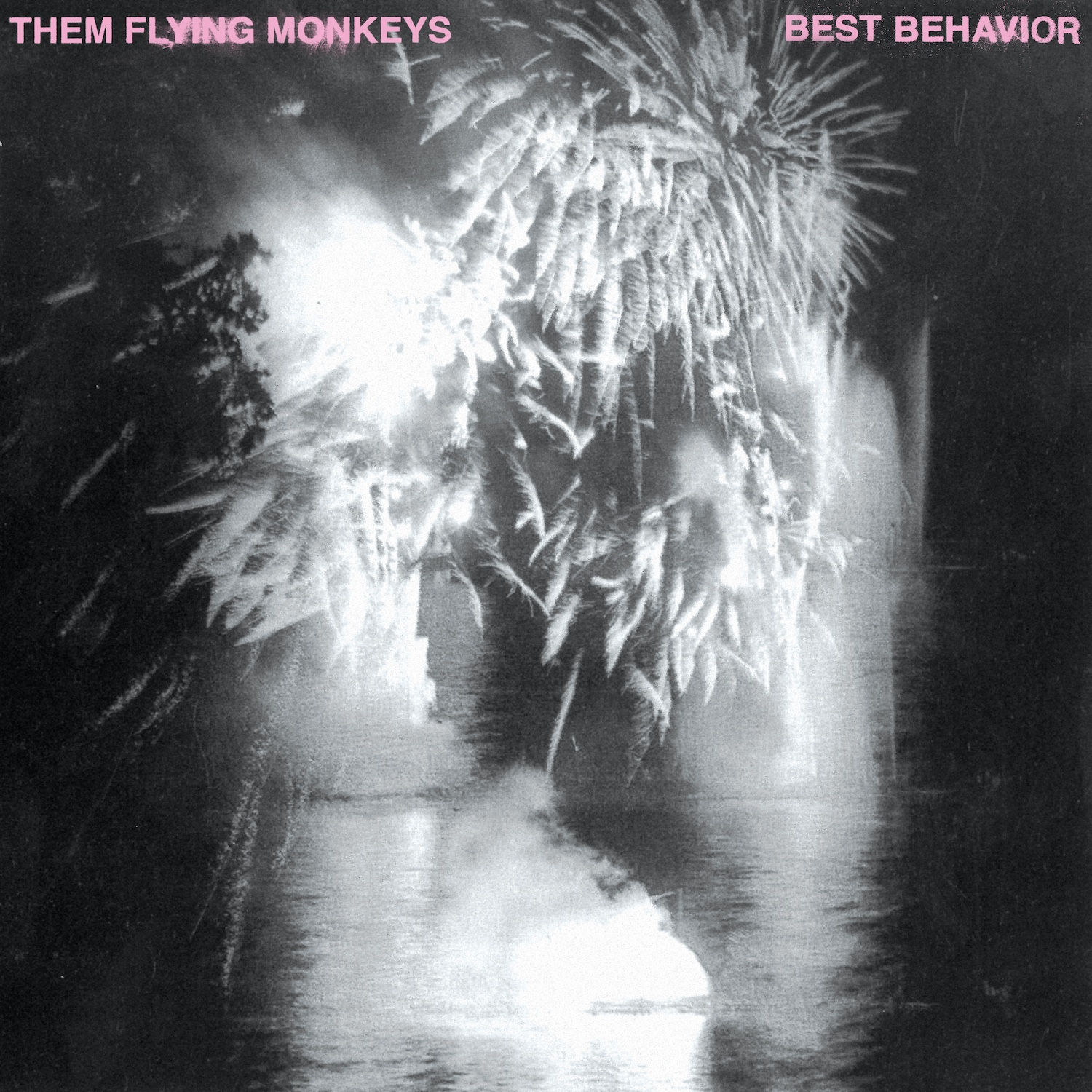 THEM FLYING MONKEYS • Best Behaviour