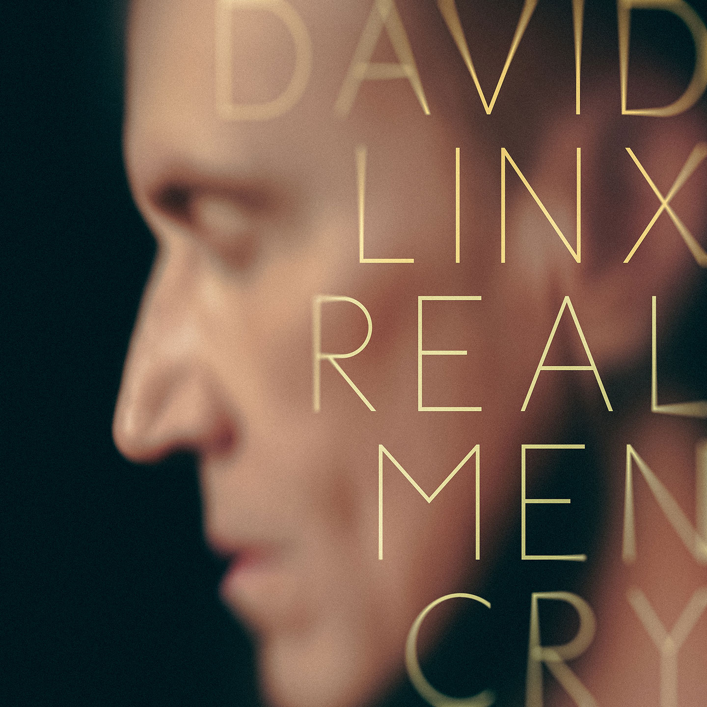 DAVID LINX • Real Men Cry