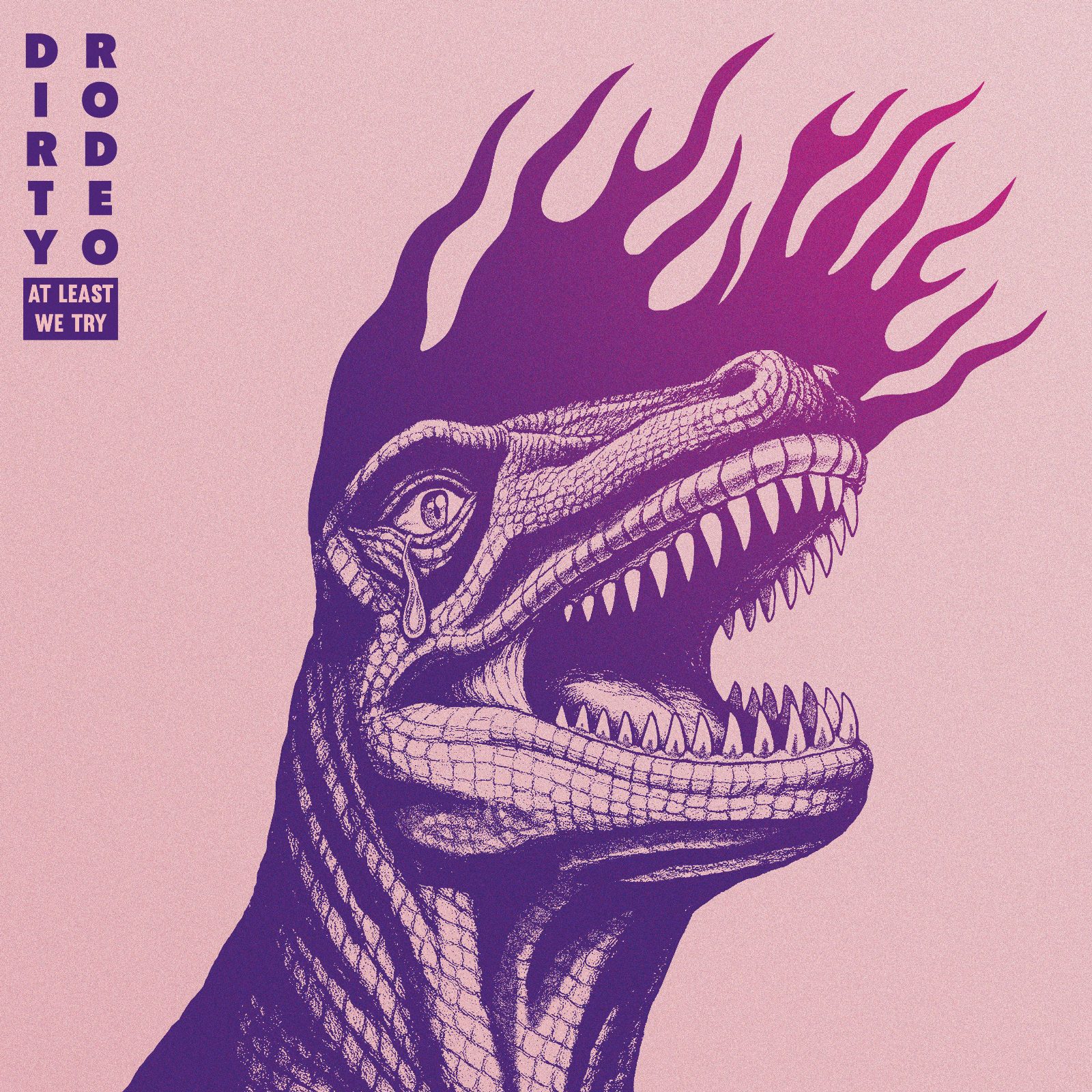 DIRTY RODEO • At Least We Try