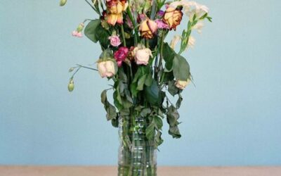 CHAFOUIN • Tout ce qui reste